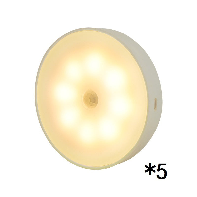LED Motion Sensor Light