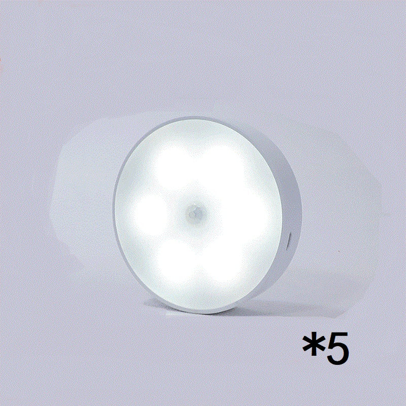 LED Motion Sensor Light