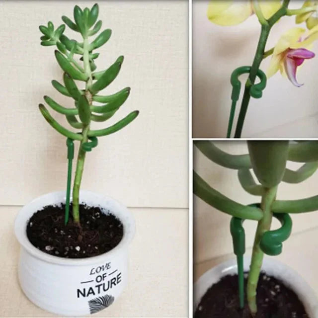 Special Bracket Home Gardening Plant Support Stakes