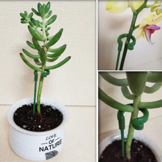 Special Bracket Home Gardening Plant Support Stakes