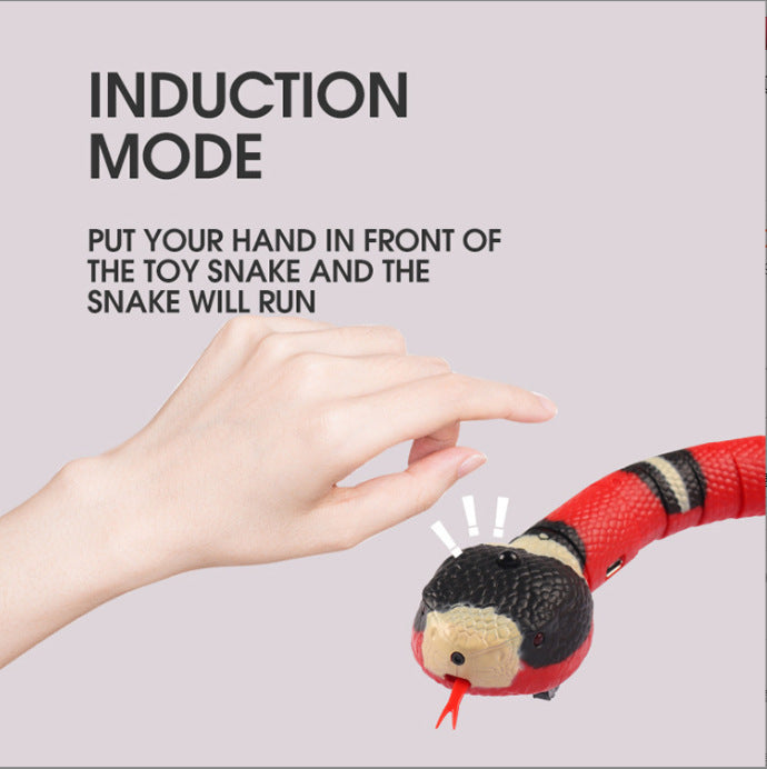 Smart Sensing Snake Funny Cat Toy - Alvioni
