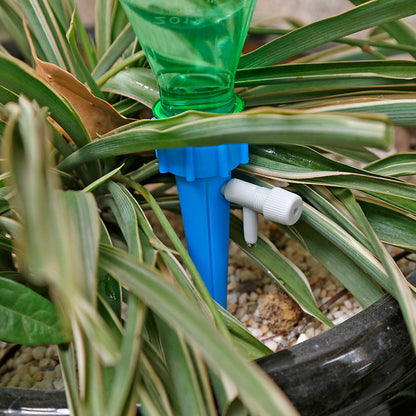 Automatic Watering System
