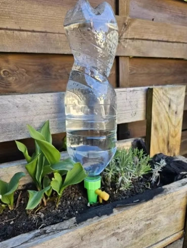 Automatic Watering System