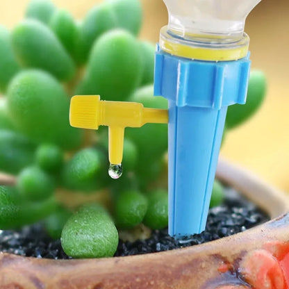Automatic Watering System