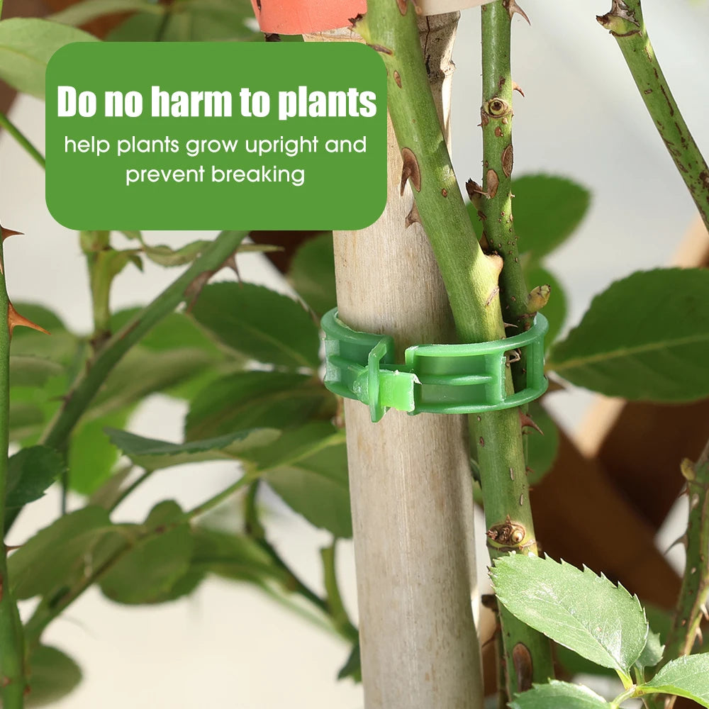 Plant Clips Supports EcoPlastic