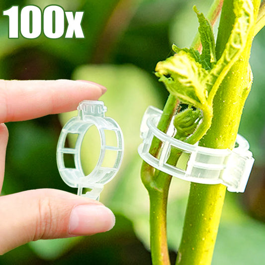 Plant Clips Supports EcoPlastic