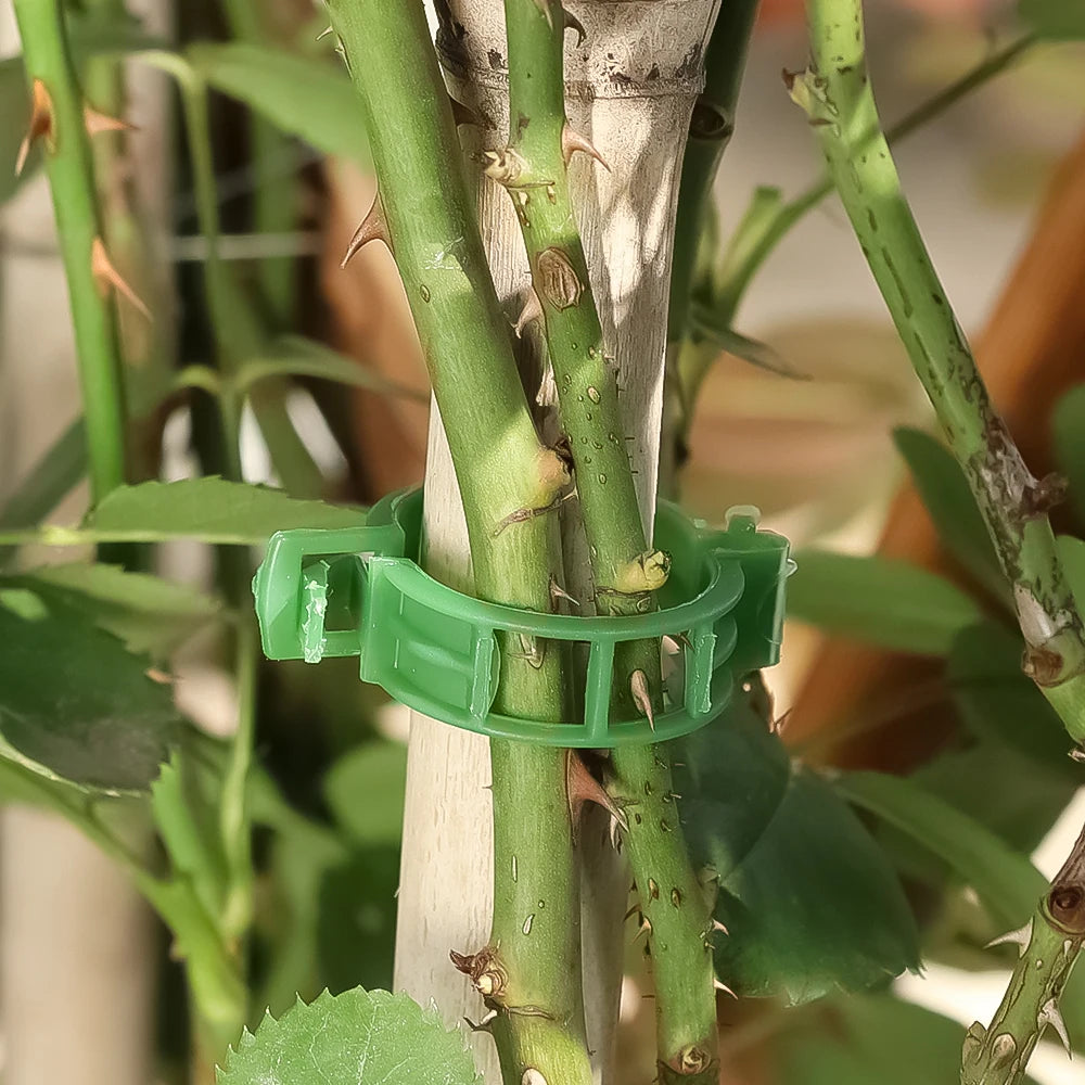 Plant Clips Supports EcoPlastic