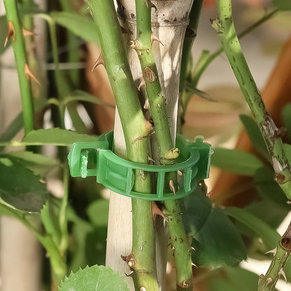 Plant Clips Supports EcoPlastic