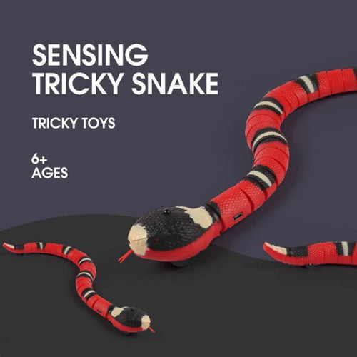 Smart Sensing Snake Funny Cat Toy - Alvioni