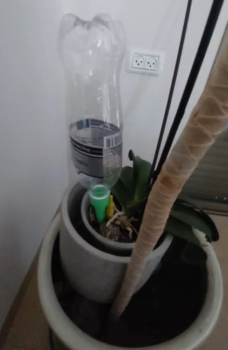 Automatic Watering System
